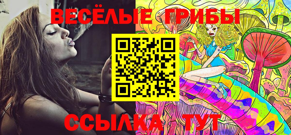Псилоцибиновые грибы Psilocybine cubensis Отрадное